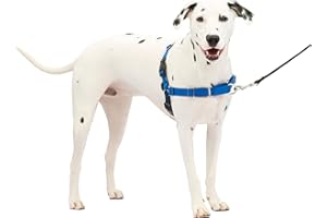 PetSafe Easy Walk No-Pull Dog Harness - The Ultimate Harness to Help Stop Pulling - Take Control & Teach Better Leash Manners - Helps Prevent Pets Pulling on Walks, Medium/Large, Royal Blue/Navy Blue