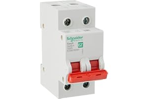 Schneider Electric Easy9 - Isolator Switch Disconnector for Circuit Breakers, 2 Pole, 100A, 400V, EZ9S16291
