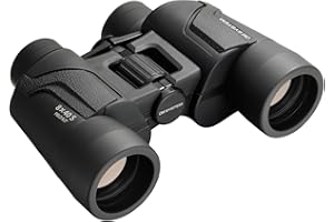 OM SYSTEM 8x40 S Binoculars – Wide Field of View, Clear Images, Lightweight, Ideal for Birdwatching, Outdoor Events, Sports, Nature Observation – Durable, Easy Focus, Great Optics, 15-year guarantee