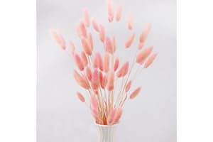 HILEYU 50 Stück 45cm Getrocknete Pampasgras Deko Pampasgras Getrocknet Lagurus Trockenblumen Strauß Dried Flowers, Blumendekoration, für Blumen Arrangements Heim Decor (50Pcs Pink)