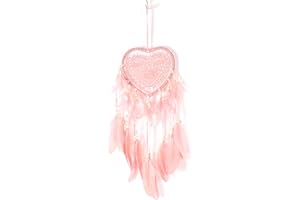 FYting Acchiappasogni per Camera da Letto Acchiappasogni Cacciatore di Sogni Acchiappasogni Forma di Cuore Scavato Decorazioni da Appendere Ornamenti per Donne, Matrimonio, Artigianato, Regalo-Rosa