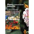Pflanzen im Rhythmus der Jahreszeiten beobachten: Der phänologische Naturführer