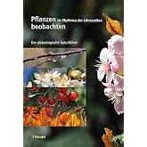 Pflanzen im Rhythmus der Jahreszeiten beobachten: Der phänologische Naturführer