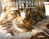 Image de I giorni dei gatti. parole e immagini 2017