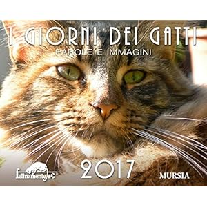 I giorni dei gatti. parole e immagini 2017