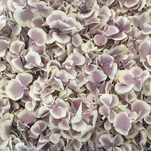 Petals and Roses Freeze Dried Hydrangea Petal Confetti | Natural & Biodegradable for Weddings, Violet White, 2 Litres