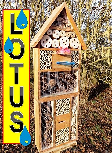 Haus XXL INSEKTENHOTEL MIT TRÄNKE SDV-HOLO-OS und FUTTERPLATZ, mit Spezialoberflächenbeschichtung „LOTUS“, Futterstelle, dunkelbraun braun Nisthotel Hoch Insektenkasten Insektenhaus als Ergänzung zum Meisen Nisthotel Hoch Meisenkasten oder zum Vogelhaus Vogelfutterhaus Futterstation für Vögel Insektenhäuschen – XXL INSEKTENHOTELs - 3