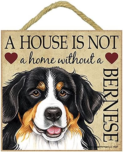 Bernese Mountain Dog Gift - Plaque 5" x 5" 'House is not a Home' - Hang it or Stand it on the easel.