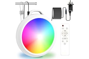 EEIEER Pond Lights Underwater10W LED Pool Lights RGB Underwater Lights Swimming Pool Lights with Remote ControlIP68 Waterproof Underwater Pond Lights for AquariumVasePondPoolGardenParty White LT-01