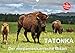Produktbild TATONKA Der nordamerikanische Bison (Wandkalender 2019 DIN A3 quer): Indianerbüffel vor der beeindruckenden Kulisse des Yellowstone Nationalparks (Geburtstagskalender, 14 Seiten ) (CALVENDO Tiere)