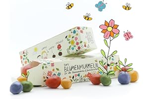 Die Stadtgärtner Blumenmurmeln das Original I 25 handgemachte & kunterbunte Samenbomben mit über 20 Arten von Blumen-Saatgut I Mitgebsel Kindergeburtstag I 100% ökologisch & min. 2 J. haltbar