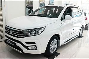 AUTO CLOVER Juego de deflectores de viento para Ssangyong Turismo 2013+ (4 piezas)