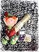 SPARKLE magic naughty shelf elf soft plush toy teddy christmas santa believe gift