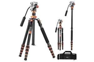 K&F Concept Treppiede Fotocamera in Fibra di Carbonio 173cm, Cavaletto Fotografico con Testa Idraulica ±90°, Treppiedi Video Monopiede 182cm con Arca Swiss per Reflex DSLR, Max 5kg, O255C4+FH-03