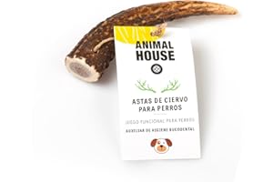 Animal House Cuerna de Ciervo 100% para Perros a Masticar, Juguete Hueso, Natural para Mantener los Dientes y Las encías sanos y limpios. para Todas Las Tallas (XS)
