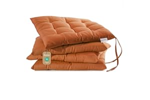 Lavea® Coussins de Chaise 40x40 cm – Lot de 4 avec Attaches – Confortables et lavables pour intérieur, extérieur - pour Jardin, Balcon, terrasse et Cuisine - Terracotta
