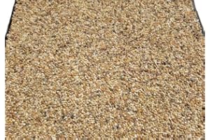 Pondlife Steinfolie Für Teichrand Teichufer Bachlauf Ufer Teichfolie Teich 40cm Breit Größe 5m