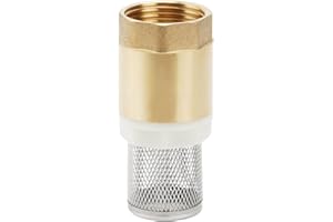 JOYAN Clapet de Pied 1" Avec Clapet Anti-retour, Clapet de Pied en Laiton, Avec Crépine en Acier Inoxydable pour Pompe