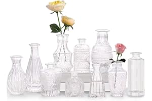 TOBENGDA Zestaw mini wazonów, 10 sztuk, małe szklane wazony w stylu vintage, różne rozmiary, do dekoracji stołu, dekoracji weselnych