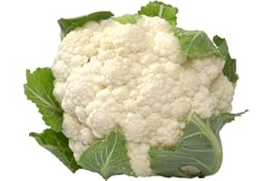 AMOREBIO Blumenkohl 1 x 1 Stk