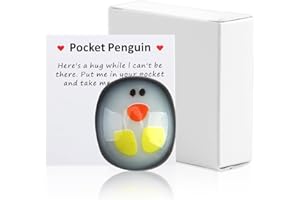 COYTEAR A Little Pocket Penguin Hug, Glass Mini Pocket Penguin Hug with Greeting Card Special Penguins Keepsake Pockets Hugs Decoration Encourage Gift for Lovers Family Friends Birthday (Here's a hug)