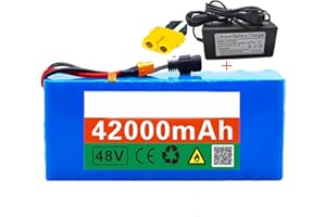 QMENA Batterie de vélo électrique, avec Chargeur, Batterie de Scooter électrique, Batterie Li-ION 48v 42ah 13s3p XT60 Plug