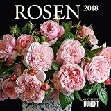Rosen 2018 - Broschürenkalender - Wandkalender - Format 30 x 30 cm by DUMONT Kalenderverlag, Clay Perry