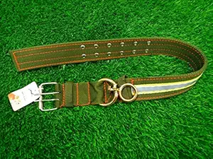 Pets Empire Nylon Fabric Belt Strap Adjustable Reflective Collar with Metal Buckle 2 Rows for Heavy Dogs