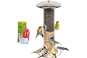 HEAVY DUTY stainless steel metal bird feeder, easy clean garden bird seed feeders hanging, bird feeders for small birds, bird feeders hanging for wild bird, hanging bird feeder for backyard BY PROVIDE