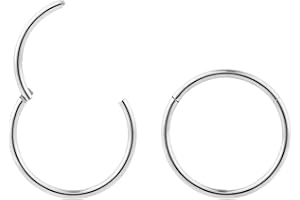 365 SLEEPERS 2 pezzi titanio 18G unisex incernierato segmento cerchio labbro anello al naso setto elica trago orecchini dormiente 6mm - 13mm