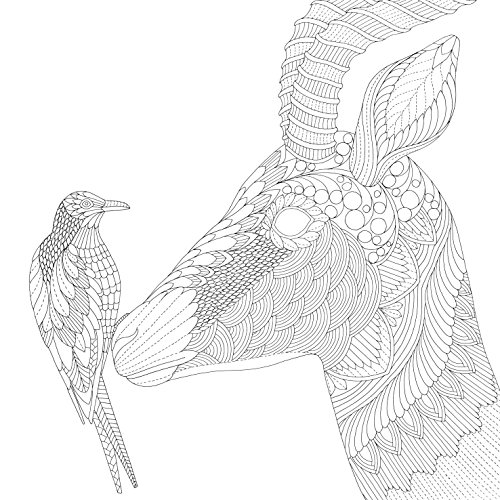 Millie Marotta's Wild Savannah: A Colouring Book Adventure (Colouring Books)