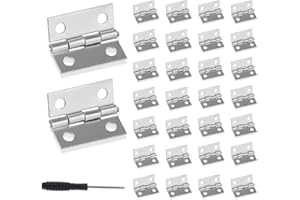 Roosea 30 Pcs Mini Hinges 25 * 24 * 0.8 mm for Dolls House with 120 Pcs Hinge Screws and Screwdriver - Silver