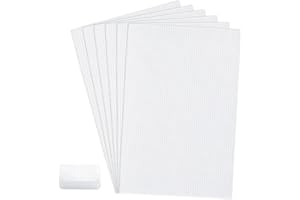 HMCEY 6 Pièces Feuilles de Toile en Maille Blanc 30 X 20 cm,Canevas Plastique pour Sac à Main,Toile Point de Croix Plastique,Plastic Mesh Canvas,Caneva Broderie Maille pour Bricolage Artisanat