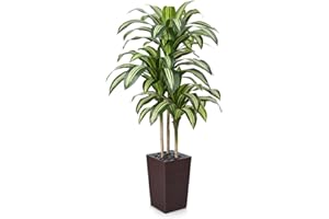 VeriNatural Artificial Dracaena Tree 150 cm - UV-Resistant Realistic Faux Large Green Plastic Fake Plant with Brown Taper Planter - Tall Artificial Plants for Home Garden Office Indoor Decor, VN127