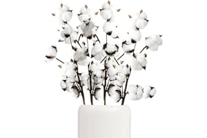 JIUZCARE Cotone Essiccati Fiori Di Cotone Steli Di Cotone Fiori Artificiali In Cotone Rami Decorativi Fiori Finti Per Decorazioni Interno Rami Decorativi Per Bouquet Fiori Secchi, 4 Confezioni 10 Palle [40Pcs]