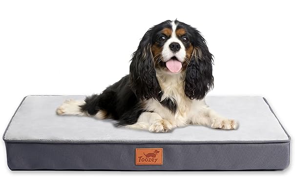 car dog bed amazon