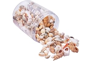 PH PandaHall 150~200pcs Perles de Coquillage Mixte, Coquillages Percés Coquillons Naturels Coquille de Cauris de Conque pour la Création de Bijoux de Collier de Bracelet et d'artisanat, Trou: 1-2mm