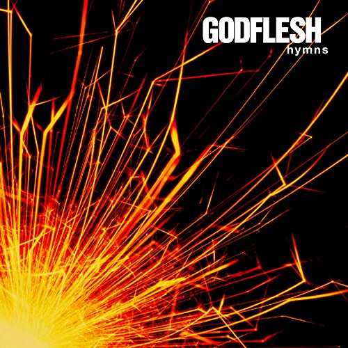 Preisvergleich Produktbild Hymns [Vinyl LP]