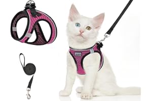 DIFISTIK Cat Harness and Lead for Walking, Escape Proof Adjustable Kitten Harness and Lead Set with Reflective Strip, Soft Mesh Kitten Vest Harness for Outdoor, Comfort Fit, Easy to Control