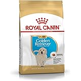 Royal Canin Golden Retriever Junior Puppy Poultry 12 kg