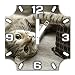 Produktbild Katze, Design Wanduhr aus Alu Dibond zum Aufhängen, 30 cm Durchmesser, breite Zeiger, schöne und moderne Wand Dekoration, mit qualitativem Quartz Uhrwerk