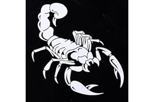 CIPLIKO 2 STÜCKE 3D Auto Aufkleber Skorpion Muster Coole Auto Aufkleber Paste Dekoration Ornament Nette 3D Skorpion Auto Aufkleber Auto Styling Vinyl Aufkleber Aufkleber Für Autos Zubehör Dekoration