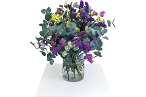 FLORES SOLIDARIAS TRABAJO & VIVIENDA FLORES SOLIDARIAS - Ramos de Flores Naturales Statice y Eucalipto - Ramo Fresco de Calidad para Regalo, San Valentín, Día de la Madre, Bodas, Aniversarios, Cumpleaños y Decoración del Hogar