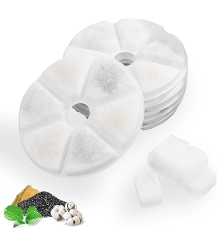 8-Quart Digital Air Fryer