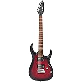Cort Electric Guitar X100 OPBB