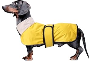 MOREZI Dachshund raincoat with reflective trim, rain/water resistant, adjustable bands - Stylish premium raincoat for dogs - Yellow - S