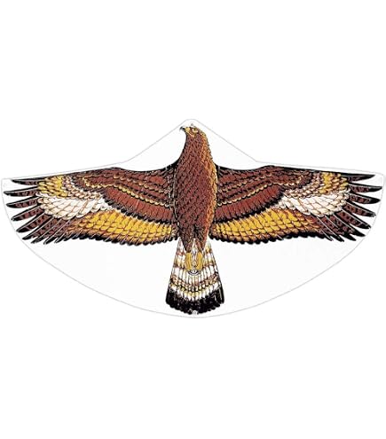 Poulie Pour Cerf-Volant Paul Günther Avec 100 M De Corde - Résistance 6 Kg, Accessoire Idéal Pour Tous Les Cerfs-Volants