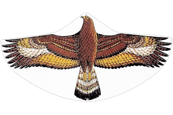 GÜNTHER FLUGSPIELE Paul Günther 1146 - Cerf-volant pour enfants avec motif d'aigle royal, cerf-volant à une corde en film PE robuste, pour enfants à partir de 4 ans, taille env. 122 x 68 cm