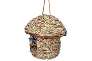 Casiler Strohvogel Nest Papageihung Brütete Grashöhle Garten Gras Vögel Summbirdnest Für Rasenhaus