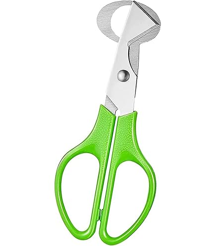 Ciseaux à œufs De Caille IBILI - Inox, Couleur Vert, Référence 768200, Neufs (ustensile De Cuisine Original)